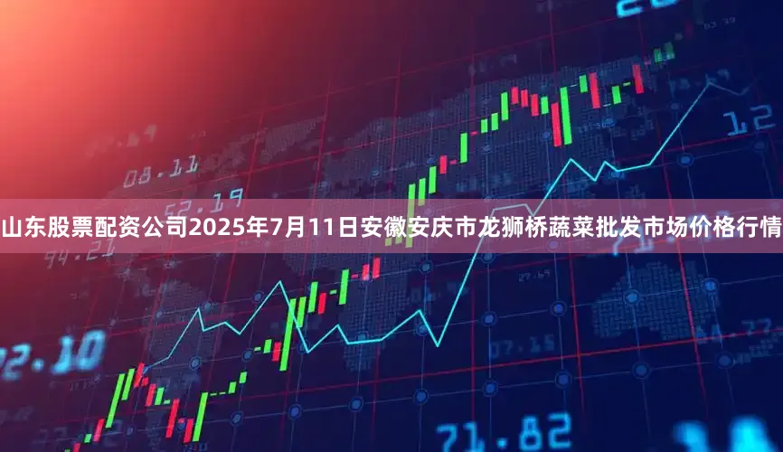 山东股票配资公司2025年7月11日安徽安庆市龙狮桥蔬菜批发市场价格行情
