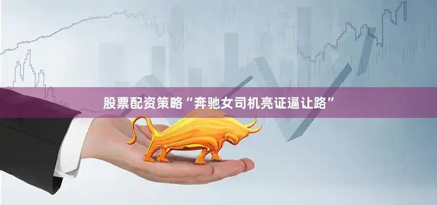 股票配资策略“奔驰女司机亮证逼让路”