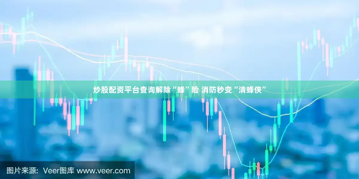 炒股配资平台查询解除“蜂”险 消防秒变“清蜂侠”