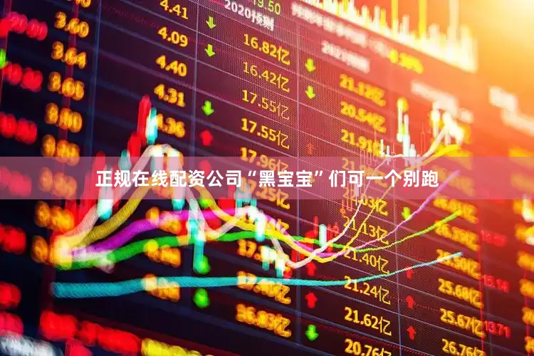 正规在线配资公司“黑宝宝”们可一个别跑
